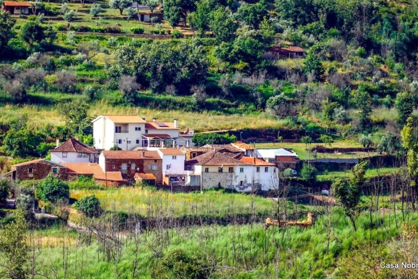 Retiro Na Natureza Casa Com Piscina Digueifel Exterior foto