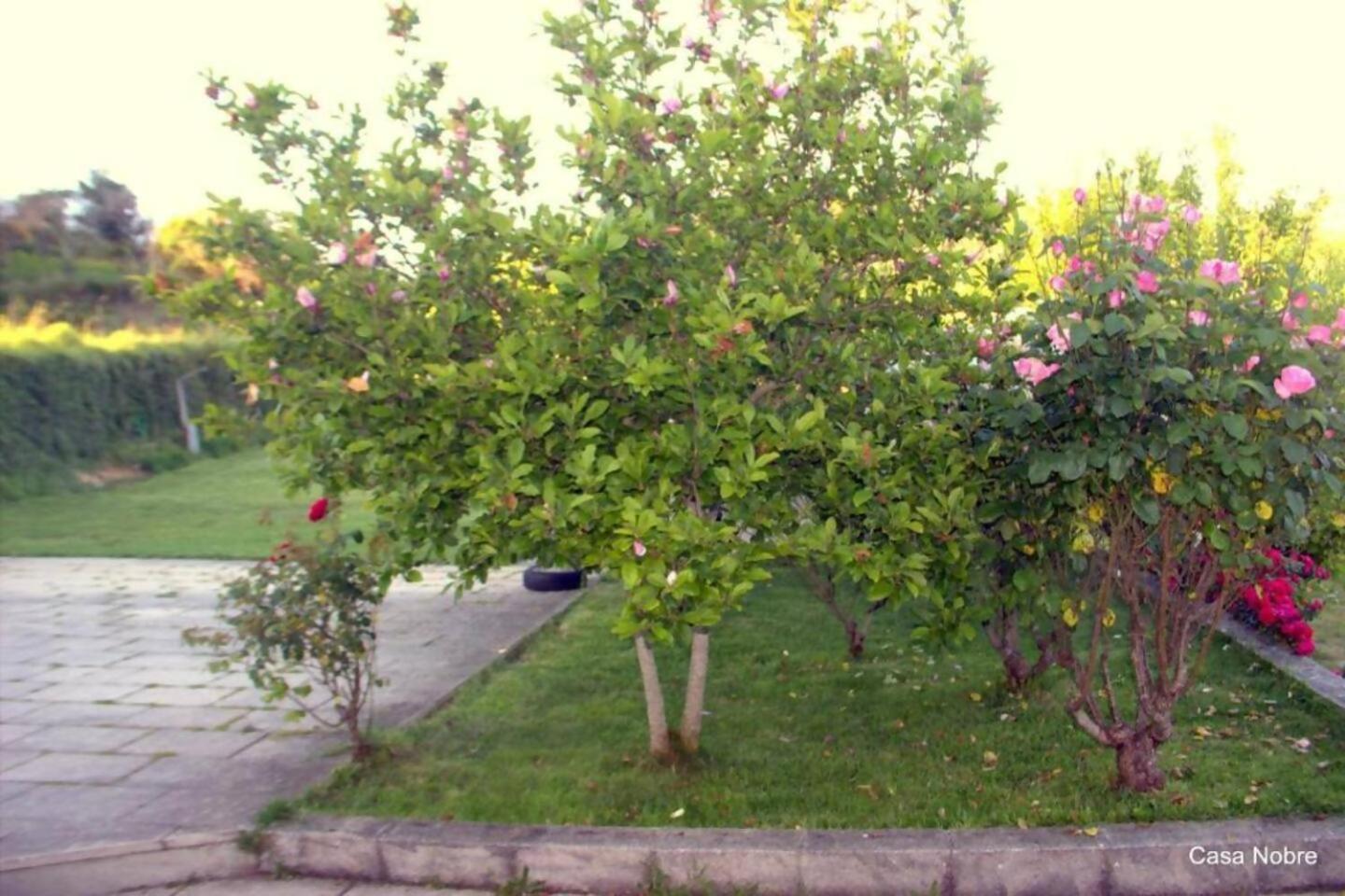 Retiro Na Natureza Casa Com Piscina Digueifel Exterior foto